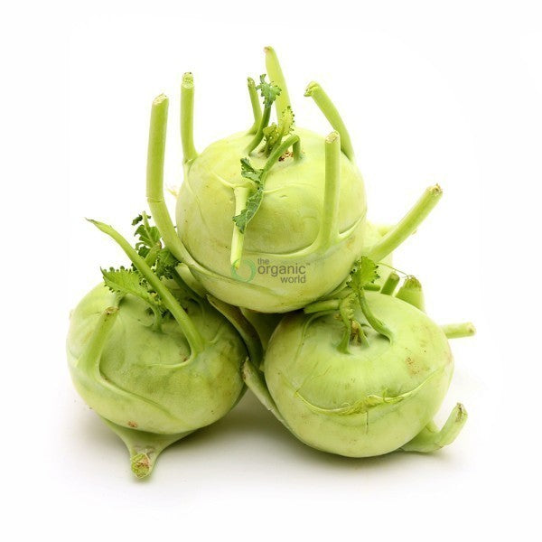 Knol Khol (නෝකෝල්)
