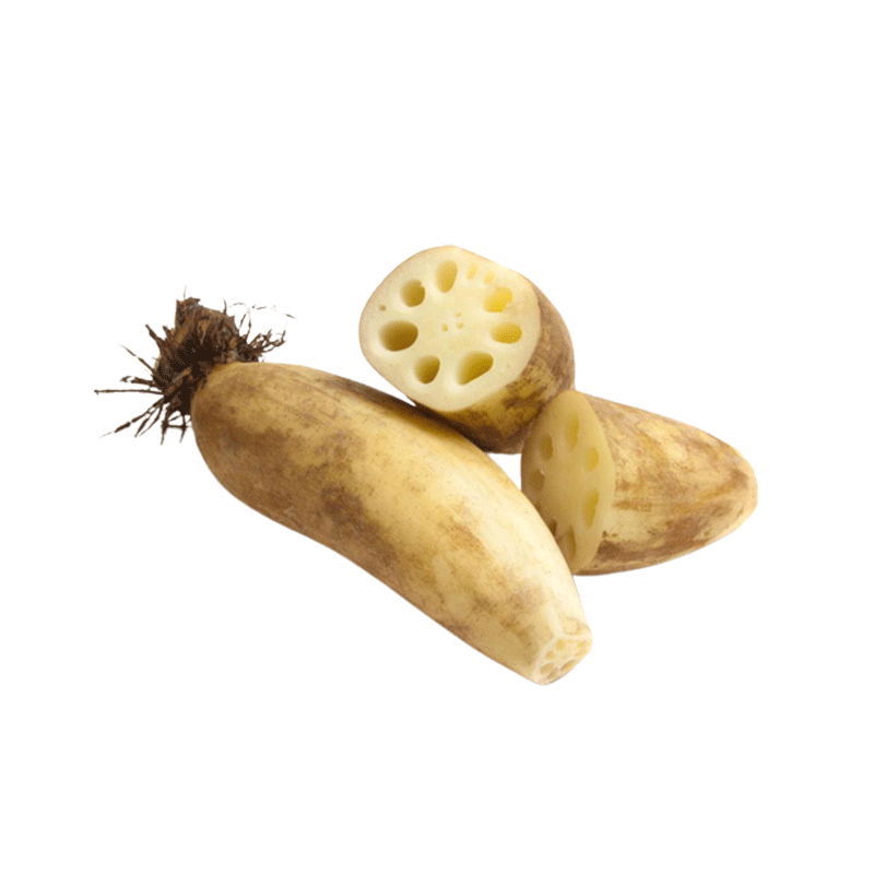 Lotus Root (නෙලුම් අල-Nelum Ala)